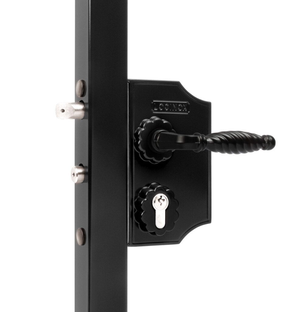 Large surface mounted ornamental gate lock