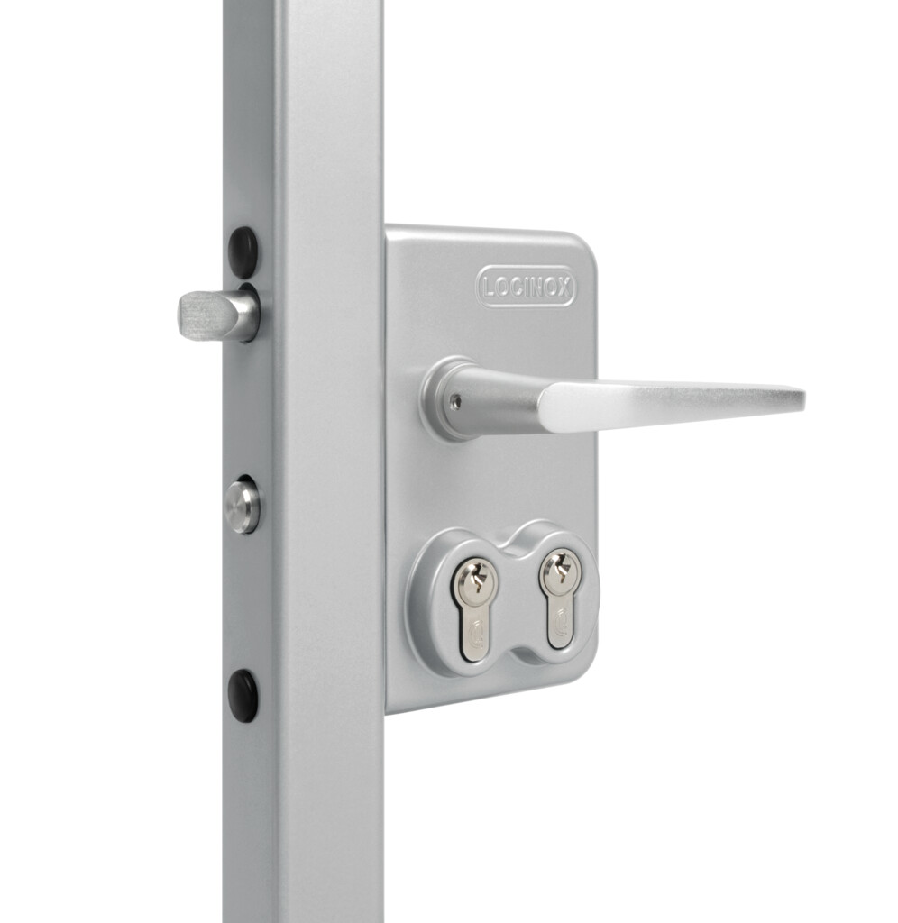 Surface mounted double cylinder gate lock for swing gates