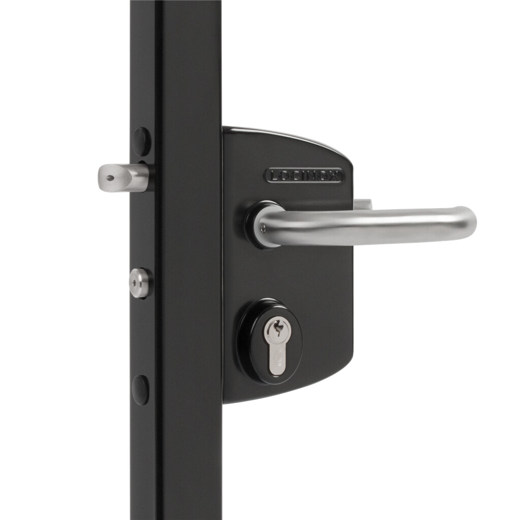 Surface mounted gate lock