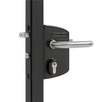 Surface mounted gate lock